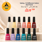 Valmy, 12 different colors nail paint